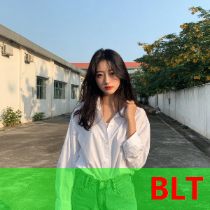 AI技術(shù)服務